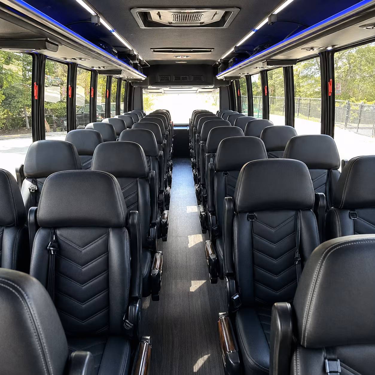 minibuses to new haven concerts at toad s place and college street music hall